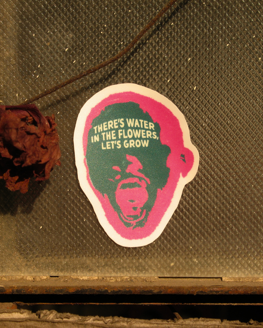 Mac Miller Surf | There's Water in the Flowers Let's Grow