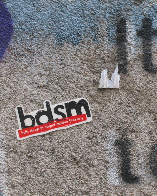 BDSM Sticker | Stupid Adult Humor