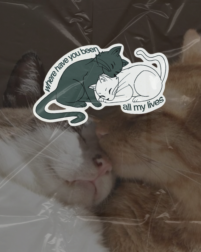Catmate Sticker | Sweet Cat Couple Vinyl