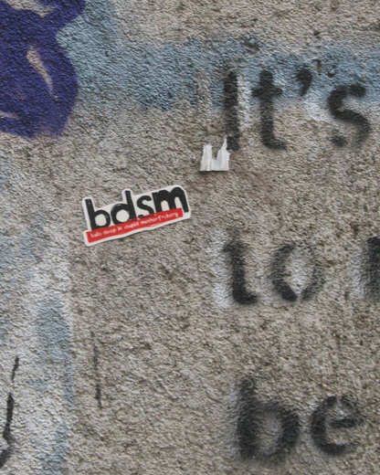BDSM Sticker | Stupid Adult Humor