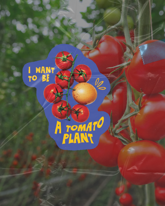 Wannabe Tomato Sticker | Lowkey funny Existential Plant