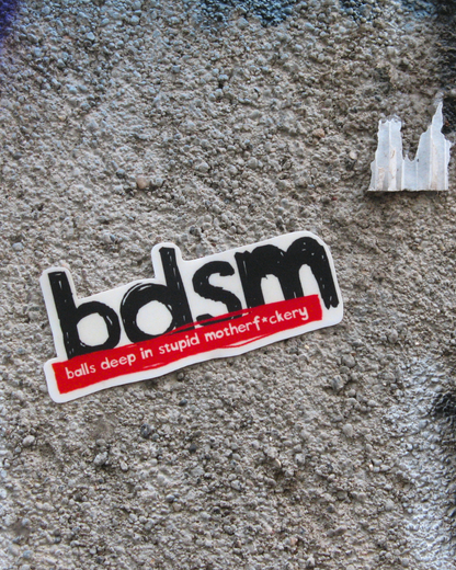 BDSM Sticker | Stupid Adult Humor
